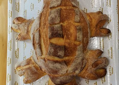 Pane altamura a forma di tartaruga